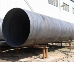 �F���o(h��)Ͳ